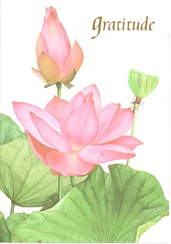 Gratitude B015T87398 Book Cover