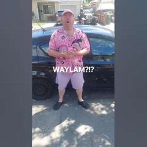 『WAYLAM?!? Update - 08.11.24』のカバーアート