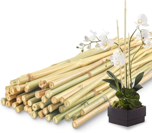 CHEOAR 115cm/30pcs Bamboo Sticks For Plants-Bamboo Canes,Garden Bamboo Canes Strong Heavy Duty Bamboo Plant Support Garden Canes Poles for Tomato Vegetables Beans Trees Potted Climbing Plants(8-10mm)