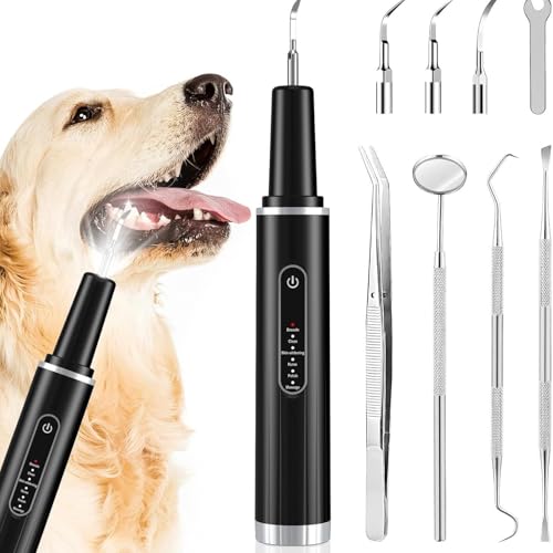 Cepillo de dientes eléctrico ultrasónico para perros y gatos, limpieza de dientes, eliminación de piedras, carga, con accesorios