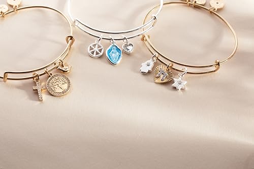 Alex and Ani Faith and Family Mother Mary Charm Bangle3
