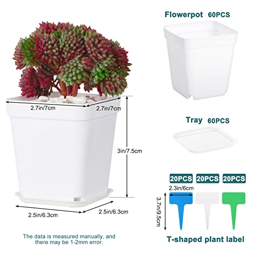 Fippy 60 Pieces Small Plastic Plant Pot 7cm, Square Plant Nursery Pots with Trays, Plant Seedling Pot - Image 2