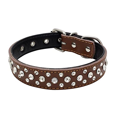 Explore the Top Rhinestone Leather Dog Collar Items on Amazon