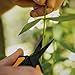 Fiskars Pruning Snips - 6