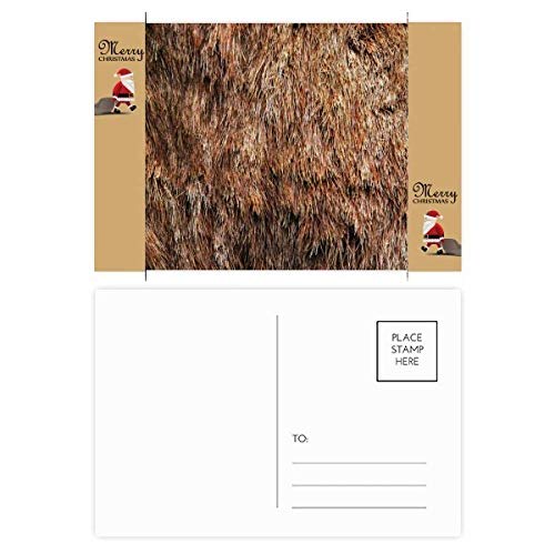 Cartes postales de remerciement plumes d'ours en lot de 20 papier épais écriture fluide
