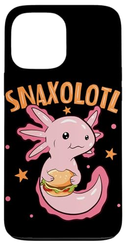 XiNz[g X}zP[X iPhone 13 Pro Max p