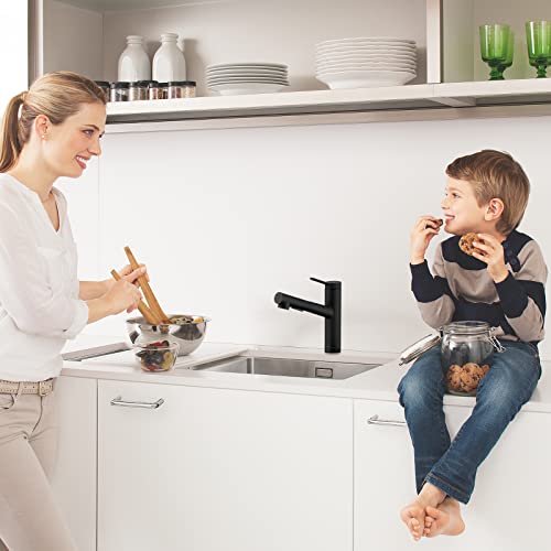 Crea Kitchen Faucets, Bar Sink Faucet, Black Kitchen Sink Faucet Pull Out Utility Prep Wet Faucet Small Single Handle Hole Faucet, Commercial Modern Rv Sink Low Arc Faucet Outdoor Laundry #TOP6