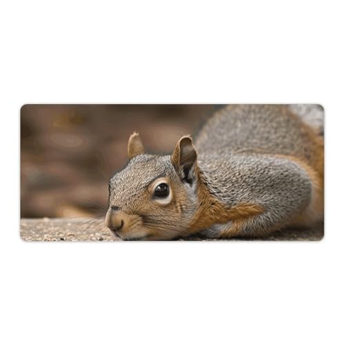 Tapis de souris XXL 40x90 cm écureuil pour bureau et gaming