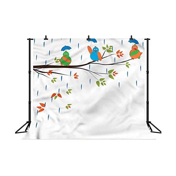 Vinyl-Wand-Fotohintergrund mit Vögeln, bunt, mollige Vögel, Regen, Fotohintergrund für Babys, Neugeborene, Fotostudio… – Bild 4