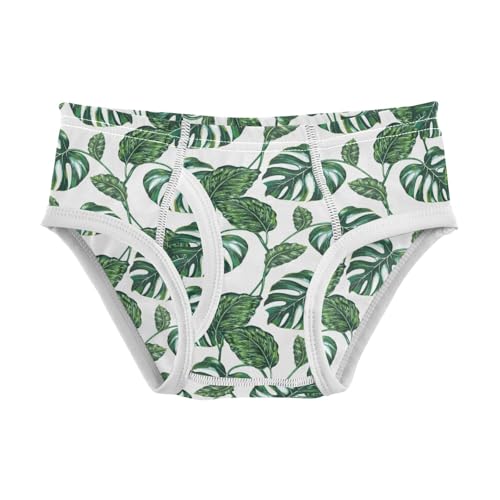 Boys' Exclusive Briefs Toddler Underwear 95% Combed Cotton Boxerbriefs 2T Monstera Leaf Pattern 53