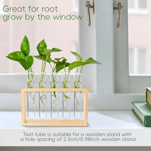 Worldity 15 Pcs Clear Test Tubes for Plant, 20 ml Plant Propagation Tube with Brush, Plastic Test Tubes for Hydroponic Plants, Flowers, Home Office Wall Decor (12 cm)
