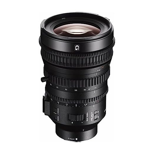 Sony 18-110mm f/4 G Zoom Lens