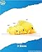 Real Planet Sea Life Plush - Soft Stuffed Animal Gift for Kids All Ages, Sea Ocean Fishing Plushie, Fun Christmas Birthday Gifts (Yellow Tang, 9.5