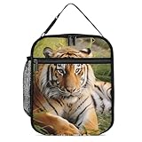MNVTSKOP Isolierte Lunchtasche für Damen und Herren, tragbare kleine Lunchtasche, Tiger, der auf dem Gras liegt, wiederverwendbare Lunchbox mit seitlichem Netz, auslaufsichere Kühltaschen für Arbeit