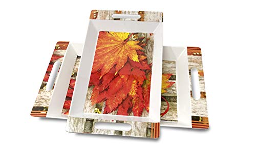 Image of Crystal By UPC Melamine Serving Tray, Set of 2 (Medium and Large Size) Rosseate Series Tray