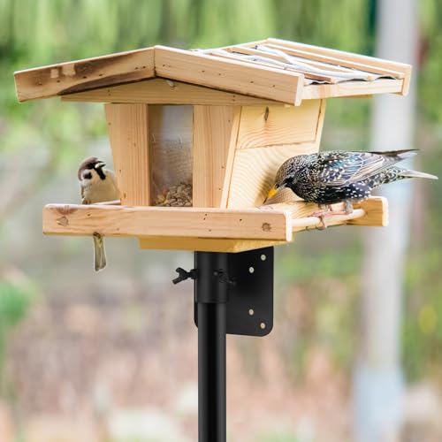 MOLIGOU 2 Pcs Bird Feeder Mounting Flange, Metal Mounting Flange for 1\" Diameter Bird House Poles - Thumbnail 6