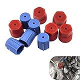 YYTQP R134a AC-Ventilkappen-Set, 13 mm und 16 mm, Klimaanlagen-Service, AC-System-Ladeanschlusskappen, 5 blaue niedrige Seite und 5 rote hohe Seite, geeignet für die meisten Autos, 10 Stück
