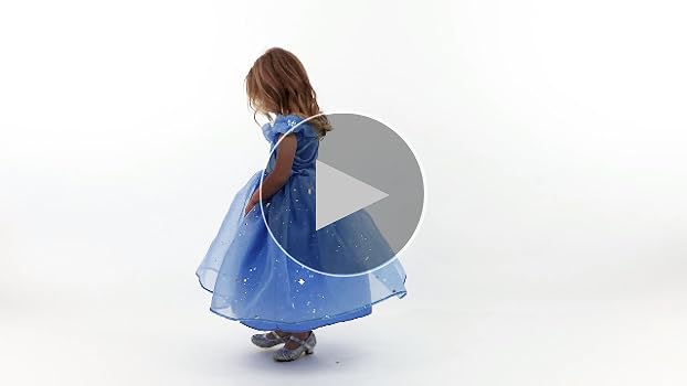 Little Adventures Deluxe Cinderella Butterfly Princess Dress Up Costume for Girls (Medium Age 3-5)