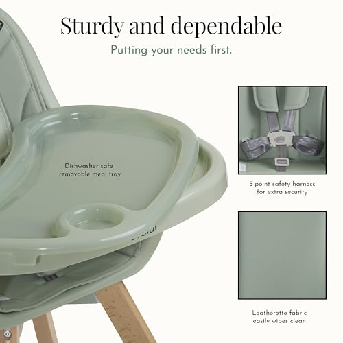 Evolur Zoodle 2-in-1 High Chair for Baby & Toddler – Convertible High Chair to Toddler Chair, Padded Seat, 5-Point Safety Harness, Dual Dishwasher-Safe Trays, Solid Beechwood Legs – Sage Green by Evolur - Image 4
