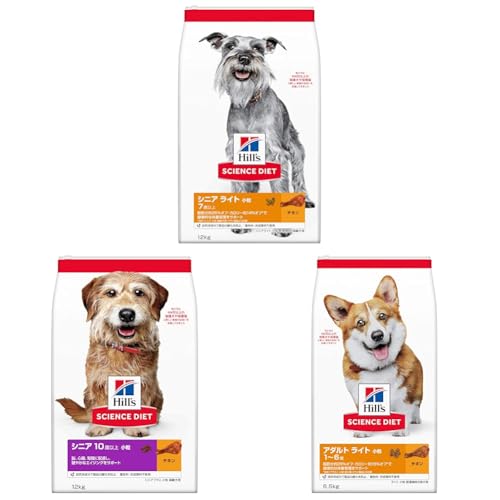 yZbgzqY TCGX_CGbg hbOt[h VjA Cg  7Έȏ `L 12s p hC 얞 + qY TCGX_CGbg hbOt[h VjAvX  10Έȏ `L 12s p hC + qY 