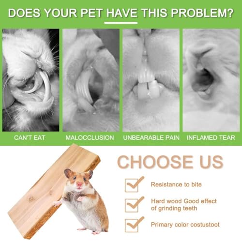 Image of 2Pcs Hamster Ledges Wooden Platform 2.6 x 6 Inch Rat Climb Platform Shelf Bird Perch Stand Toys Cage Accessories for Rat Gerbil Suger Glider