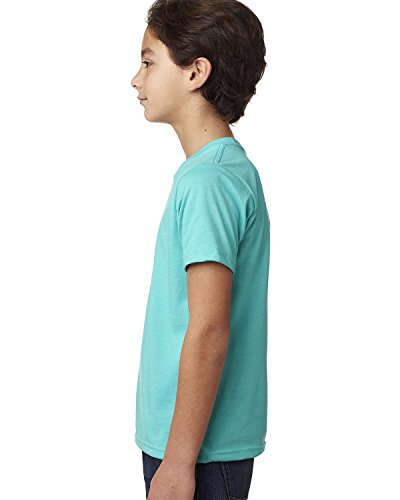 The Next Level Boys CVC Crew Tee (3312)2