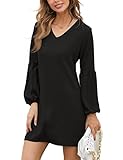 BELONGSCI Women's 2023 Summer Dress Tunic Dress V Neck Casual Loose Flowy Swing Shift Dresses