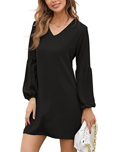 Belongsci Women's 2023 Summer Dress Tunic Dress V Neck Casual Loose Flowy Swing Shift Dresses #TOP22
