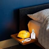 Wenyue 2 standardowe knoty zapasowe z palnikiem, lampa zapachowa, knot do palnika, lampa katalityczna, dyfuzor do aromaterapii, dekoracja domu, do poprawy powietrza w pomieszczeniu, 18,5 cm (srebrny)