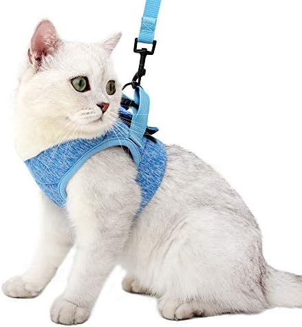 HEYWEAN Cat Harness and Leash - Ultra Light Escape Proof Kitten Collar Cat Walking Jacket with Running Cushioning Soft and Comfortable Suitable for Puppies Rabbits (M, Blue)
