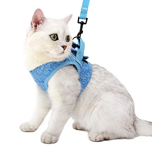 Heywean Cat Harness And Leash - Ultra Light Escape Proof Kitten Collar Cat Walking Jacket With Running Cushioning Soft And Comfortable Suitable For Puppies Rabbits #TOP16