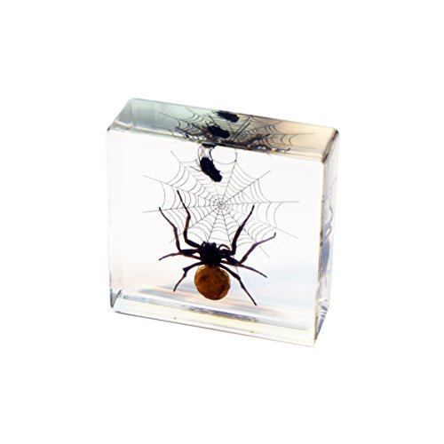 REALBUG Spider & Fly Desk Decoration