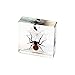 REALBUG Spider & Fly Desk Decoration
