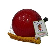 Algopix Similar Product 8 - Mini Horse Ball