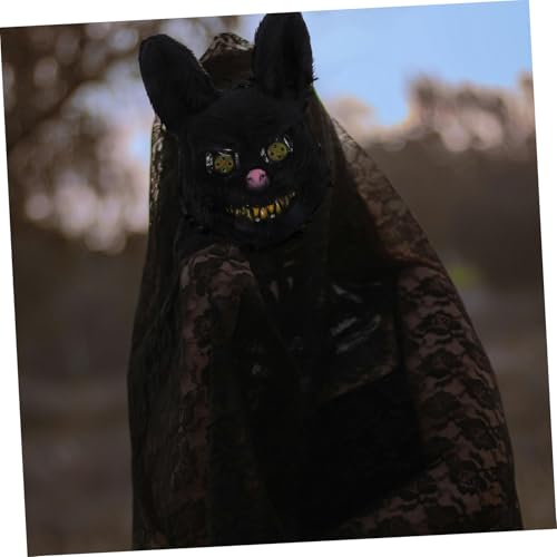 Photo complémentaire