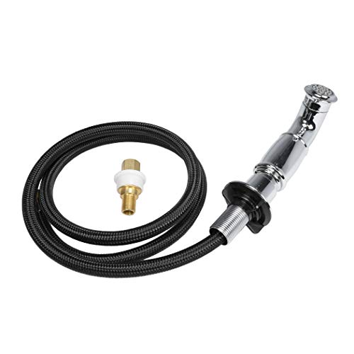 Danco Kitchen Sink Side Spray Head And Hose, Chrome, 1-Pack (89215) #TOP5
