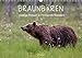 Braunbären - pelzige Riesen in Finnlands Wäldern (Wandkalender 2022 DIN A3 quer)