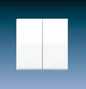 Jung Rocker Switch Jung AS591 5 Rocker Switch for Series Switches : Amazon.co.uk: DIY & Tools
