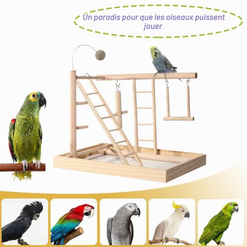 JasCherry Aire de Jeux Jouet pour Oiseaux Terrain de Jeu pour Perroquet Accessoire de Cage pour Cacatoès avec Tasse d'alimentation Échelle Balançoire Échelle pour Calopsitte Cockatiel #C – vue 4