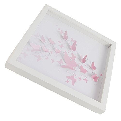 Green Frog Upgraded Shadow Box Frame 16 X 16 Inch with Butterfly Inner Display Board