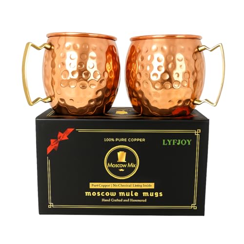 LYFJOY Premium Copper Design Moscow Mule Mug Drinkware | Serveware Perfect for Cocktails Drinks Hot | Cold Traditional Durable Classic Home Gifts 550ml (Hammered MuleMug+BrassHandle, Pack of 2)