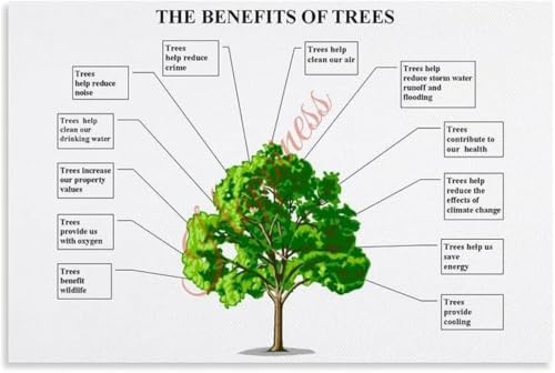 AZPAAAIH Why Trees Matter Green Infrastructure Poster Wall Art | Educational chart showing shade pollution reduction and wildlif
