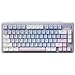 Rapoo V700DIY-75 Kabellose Mechanische Gaming Tastatur, BT 5.0/2,4 GHz/Kabel, Hot-Swap-fähige individuelle, Speed-Silver-Linearschalter, 16,8M Per-Key-RGB, Gasket-Mount, Full NKRO Anti-Ghosting