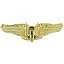 Aerial Gunner Gold