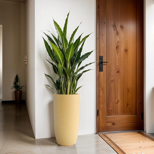 Image of YUCCABE ITALIA FOXB TPC 30 INCH Pots for Plants Highly Durable Polymers Lightweight Indoor Outdoor Plant Pots, Flower Pot Gamla Tree Planter Container Planters for Living Room, Balcony, Garden