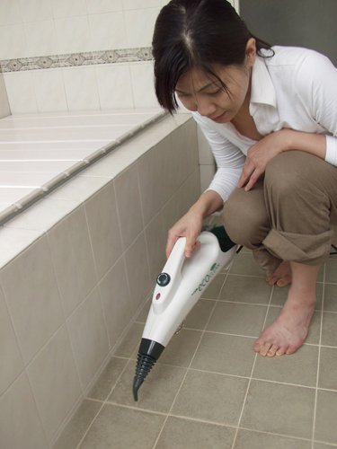 Amazon | クマザキエイム 【蒸気の熱で強力洗浄】 スチームクリーナー