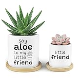 Say Aloe to My Little Friend Funny Succulents Plant Pots, Ceramic Cactus Planter Pot with Bamboo Tray for Indoor Outdoor, Aloe Pot for Plant Lover Friends Housewarming Gift, Set of 2 (No Plants)