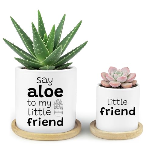 Say Aloe To My Little Friend Funny Succulents Plant Pots