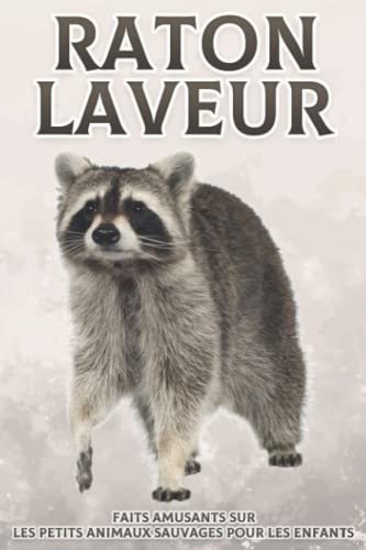 Raton laveur: Faits amusants sur les petits animaux sauvages pour les enfants #3 (French Edition)