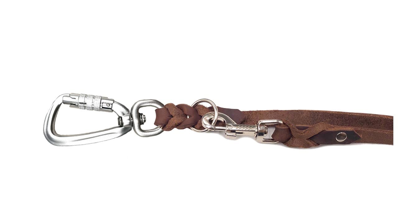 Hundeleine Fettleder mit Sicherheitshaken + Edelstahlringe/Hundeleine große Hunde/Hundeleine Leder bis 100Kg (Braun, 2,80m)